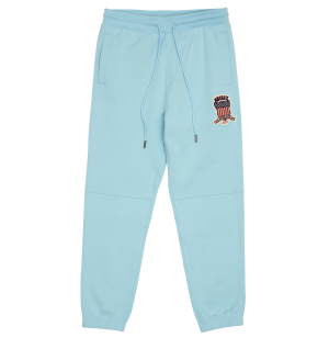 Avirex Icon Erkek Jogger Pantolon Glacier | 139456-JSM