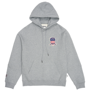 Avirex Icon Erkek Kapüşonlu Sweatshirt Gri | 136085-XQH