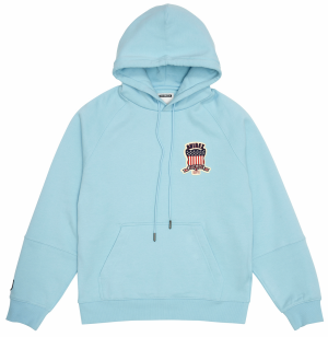 Avirex Icon Erkek Kapüşonlu Sweatshirt Glacier | 942310-VKB