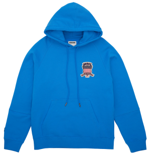 Avirex Icon Erkek Kapüşonlu Sweatshirt Super Sonic | 739428-RLB